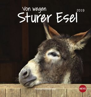Esel Postkartenkalender – Von wegen sturer Esel – Kalender 2019 von Heye