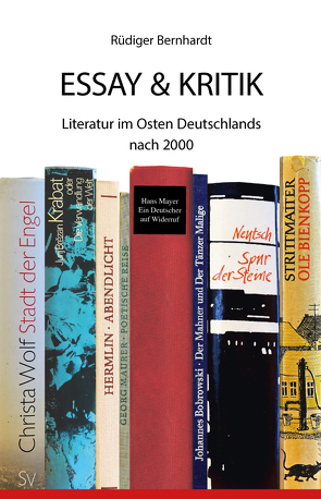 Essay & Kritik von Bernhardt,  Rüdiger