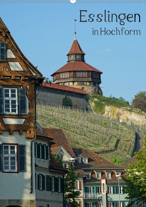 Esslingen in Hochform (Wandkalender 2021 DIN A2 hoch) von Weber,  Philipp