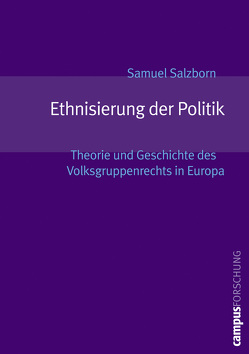 Ethnisierung der Politik von Salzborn,  Samuel