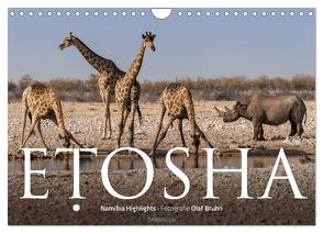 ETOSHA – Namibia Highlights (Wandkalender 2024 DIN A4 quer), CALVENDO Monatskalender von Bruhn,  Olaf