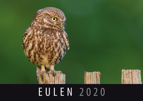 Eulen 2020 von Quelle & Meyer Verlag
