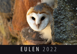 Eulen 2022 von Quelle & Meyer Verlag