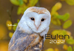 Eulen 2022