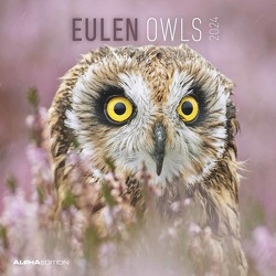 Eulen 2024 – Broschürenkalender 30×30 cm (30×60 geöffnet) – Kalender mit Platz für Notizen – Owls – Bildkalender – Wandplaner – Eulenkalender