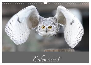 Eulen 2024 (Wandkalender 2024 DIN A3 quer), CALVENDO Monatskalender von Trimbach,  Jürgen