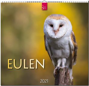 Eulen