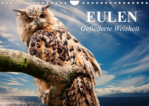 Eulen. Gefiederte Weisheit (Wandkalender 2023 DIN A4 quer) von Stanzer,  Elisabeth