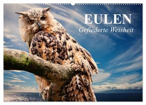 Eulen. Gefiederte Weisheit (Wandkalender 2024 DIN A2 quer), CALVENDO Monatskalender von Stanzer,  Elisabeth