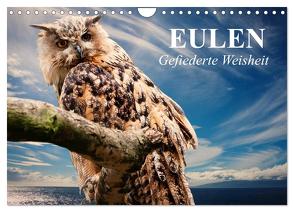 Eulen. Gefiederte Weisheit (Wandkalender 2024 DIN A4 quer), CALVENDO Monatskalender von Stanzer,  Elisabeth