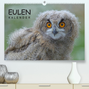 Eulen-Kalender (Premium, hochwertiger DIN A2 Wandkalender 2022, Kunstdruck in Hochglanz) von Wolf,  Gerald