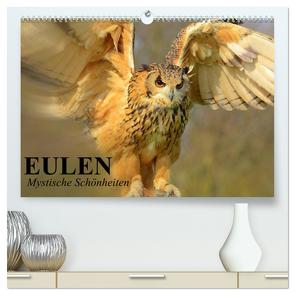 Eulen. Mystische Schönheiten (hochwertiger Premium Wandkalender 2024 DIN A2 quer), Kunstdruck in Hochglanz von Stanzer,  Elisabeth