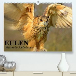 Eulen. Mystische Schönheiten (Premium, hochwertiger DIN A2 Wandkalender 2023, Kunstdruck in Hochglanz) von Stanzer,  Elisabeth