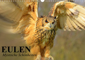 Eulen. Mystische Schönheiten (Wandkalender 2023 DIN A3 quer) von Stanzer,  Elisabeth