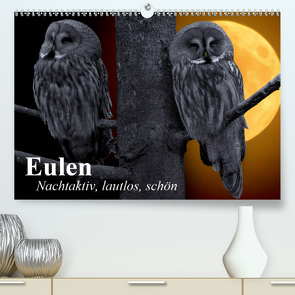 Eulen. Nachtaktiv, lautlos, schön (Premium, hochwertiger DIN A2 Wandkalender 2021, Kunstdruck in Hochglanz) von Stanzer,  Elisabeth