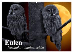 Eulen. Nachtaktiv, lautlos, schön (Wandkalender 2024 DIN A2 quer), CALVENDO Monatskalender von Stanzer,  Elisabeth