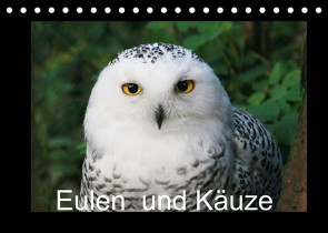 Eulen und Käuze (Tischkalender 2022 DIN A5 quer) von Hands Art,  Four