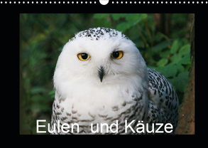 Eulen und Käuze (Wandkalender 2020 DIN A3 quer) von Hands Art,  Four