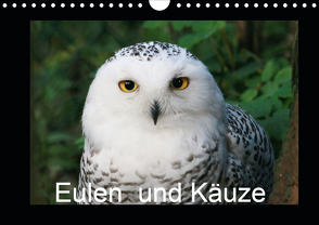 Eulen und Käuze (Wandkalender 2020 DIN A4 quer) von Hands Art,  Four