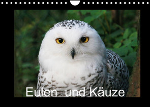 Eulen und Käuze (Wandkalender 2022 DIN A4 quer) von Hands Art,  Four