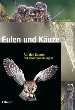 Eulen und Käuze von Aebischer,  Adrian