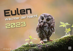 Eulen – Wächter der Nacht – 2023 – Kalender DIN A2 von GP-Fever.de