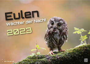 Eulen – Wächter der Nacht – 2023 – Kalender DIN A3