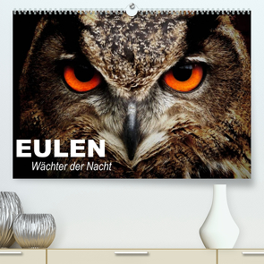 Eulen. Wächter der Nacht (Premium, hochwertiger DIN A2 Wandkalender 2022, Kunstdruck in Hochglanz) von Stanzer,  Elisabeth