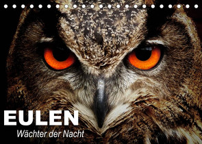 Eulen. Wächter der Nacht (Tischkalender 2023 DIN A5 quer) von Stanzer,  Elisabeth