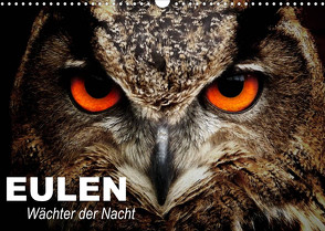 Eulen. Wächter der Nacht (Wandkalender 2022 DIN A3 quer) von Stanzer,  Elisabeth