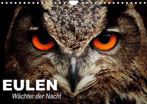 Eulen. Wächter der Nacht (Wandkalender 2022 DIN A4 quer) von Stanzer,  Elisabeth