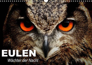 Eulen. Wächter der Nacht (Wandkalender 2023 DIN A3 quer) von Stanzer,  Elisabeth