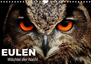 Eulen. Wächter der Nacht (Wandkalender 2023 DIN A4 quer) von Stanzer,  Elisabeth