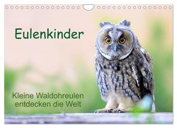 Eulenkinder – Kleine Waldohreulen entdecken die Welt (Wandkalender 2024 DIN A4 quer), CALVENDO Monatskalender von Müller,  Carolin