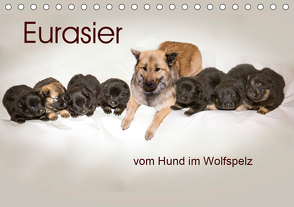 Eurasier, der Hund im Wolfspelz (Tischkalender 2021 DIN A5 quer) von Überall,  Peter