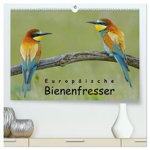 Europäische Bienenfresser (hochwertiger Premium Wandkalender 2024 DIN A2 quer), Kunstdruck in Hochglanz von Wolf,  Gerald