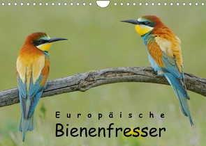 Europäische Bienenfresser (Wandkalender 2023 DIN A4 quer) von Wolf,  Gerald