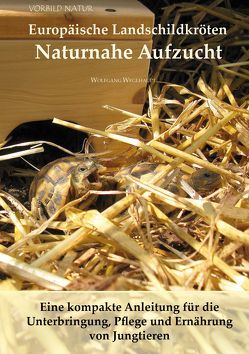 Europäische Landschildkröten Naturnahe Aufzucht von Wegehaupt,  Wolfgang