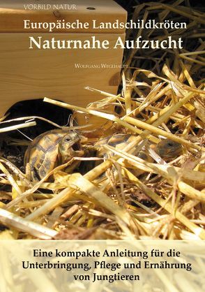 Europäische Landschildkröten Naturnahe Aufzucht von Wegehaupt,  Wolfgang