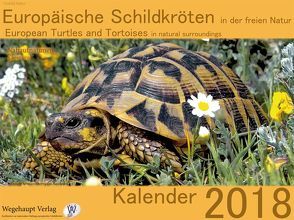 Europäische Schildkröten in der freien Natur