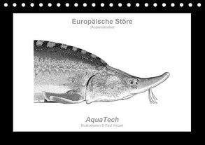 Europäische Störe (Acipenseridae): Fisch als Kunst (Tischkalender immerwährend DIN A5 quer) von Vecsei,  Paul