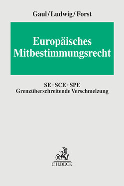 Europäisches Mitbestimmungsrecht von Fleischmann,  Dermot, Forst,  Gerrit, Gaul,  Björn, Hoops,  Antje, Jannott,  Dirk, Kienast,  Rainer, Kuhnke,  Michael, Ludwig,  Daniel, Otto,  Alexandra, Otto,  Bjoern, Roock,  Bernd, Siemers,  Jürgen