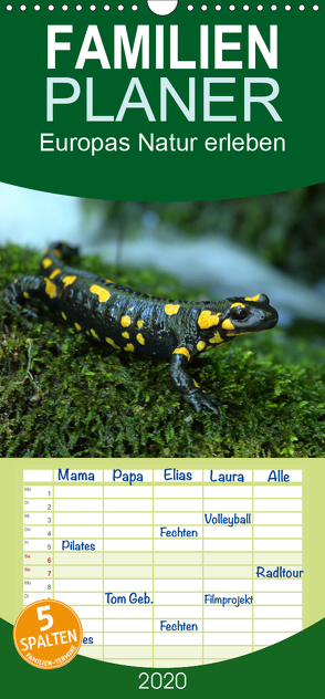 Europas Natur erleben – Familienplaner hoch (Wandkalender 2020 , 21 cm x 45 cm, hoch) von Schäfer,  Otto