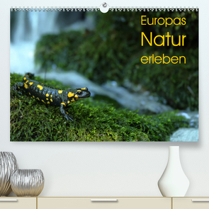 Europas Natur erleben (Premium, hochwertiger DIN A2 Wandkalender 2020, Kunstdruck in Hochglanz) von Schäfer,  Otto