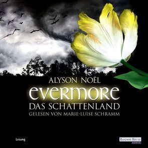 Evermore. Das Schattenland von Bezzenberger,  Marie-Luise, Noël,  Alyson, Schramm,  Marie-Luise