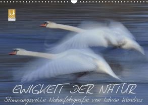 Ewigkeit der Natur (Wandkalender 2018 DIN A3 quer) von Kerekes,  István