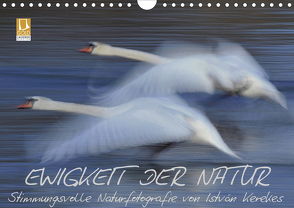 Ewigkeit der Natur (Wandkalender 2020 DIN A4 quer) von Kerekes,  István