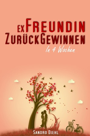 Ex Freundin zurückgewinnen in 4 Wochen von Diehl,  Sandro