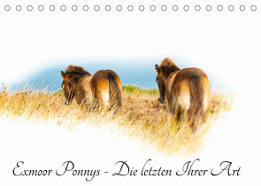 Exmoor Ponnys – Die letzten Ihrer Art (Tischkalender 2022 DIN A5 quer) von Antoniewski,  Torsten