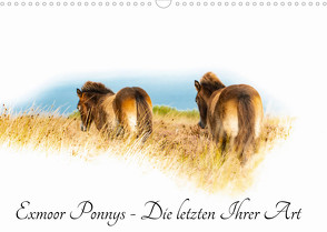 Exmoor Ponnys – Die letzten Ihrer Art (Wandkalender 2022 DIN A3 quer) von Antoniewski,  Torsten